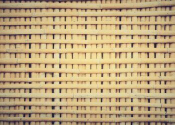 Bambus w budownictwie