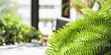 Osuszanie mieszkania