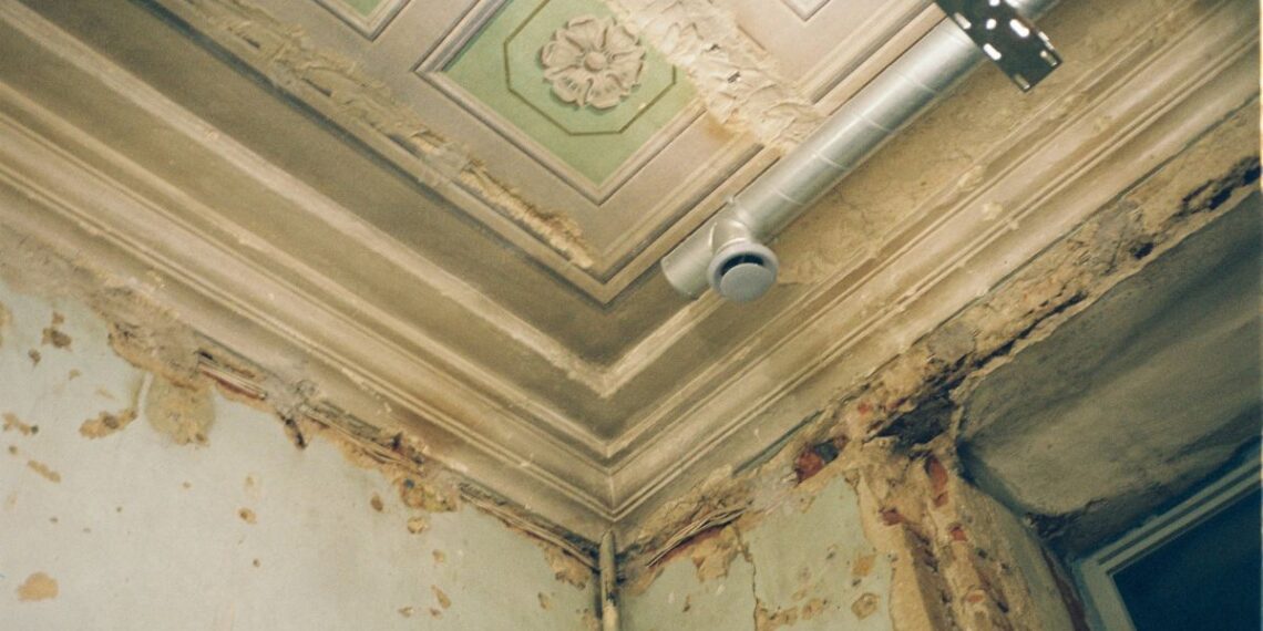 Jak skutecznie usuwać grzyba ze ścian? Sposoby na walkę z pleśnią