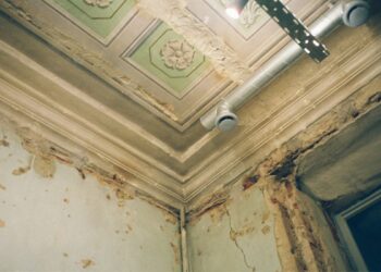 Jak skutecznie usuwać grzyba ze ścian? Sposoby na walkę z pleśnią